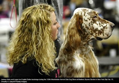 135th Westminster Kennel Club Dog Show at Madison Square Garden in New York City