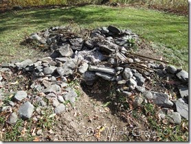 Mullien runes