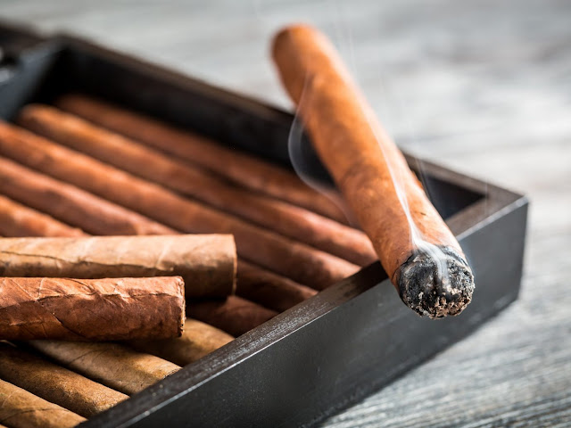India cigar and cigarillos market size