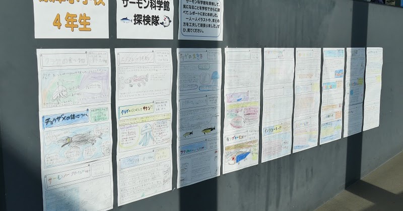 標津サーモン科学館blog サーモン科学館探検隊