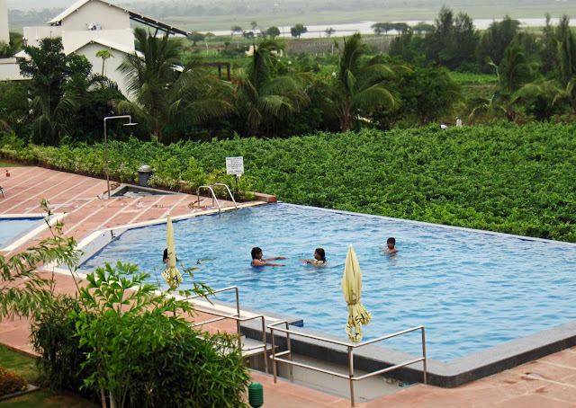 people swimming in pool