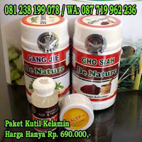 SALEP/KAPSUL OBAT PERONTOK KUTIL KELAMIN MANJUR DI APOTIK