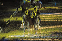 Café Portugal - PASSEIO DE JORNALISTAS em Ponte de Lima - Gala Equestre