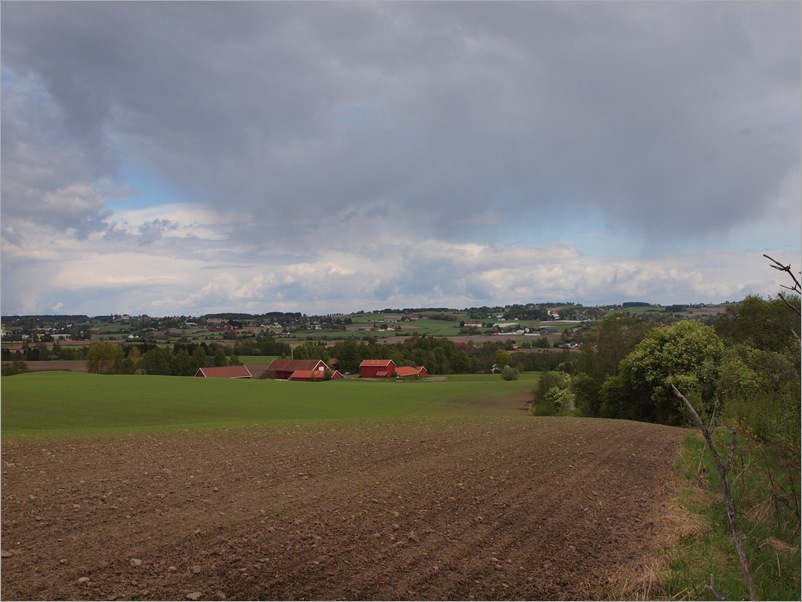 P5296950