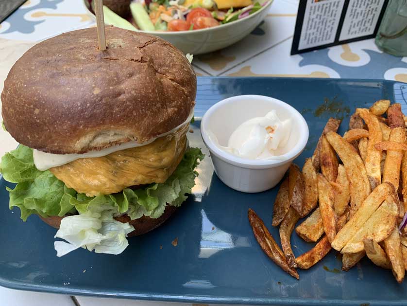 Vegan burger and fries.