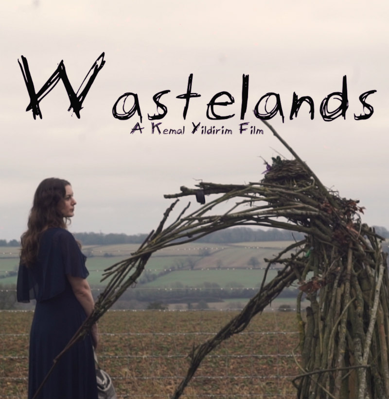 wastelands film poster