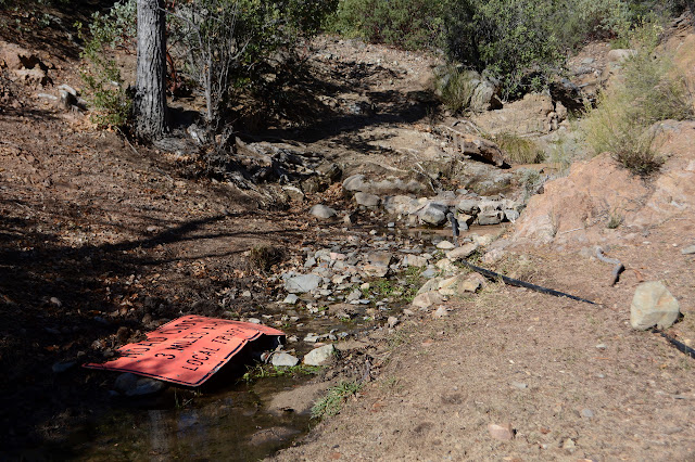 water in the creek bed