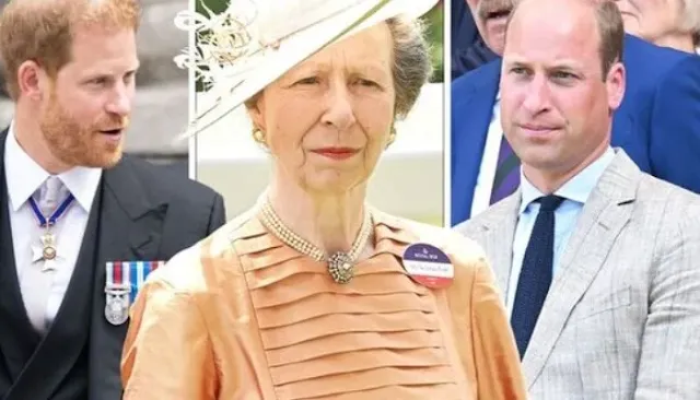 Princess Anne's Cautionary Message: A Stark Reminder for William and Harry?