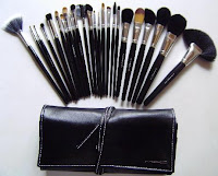 Professional Make Up Brush Set