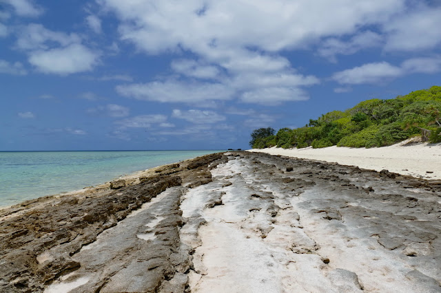 Heron Island Strand Beach Insel steinig Fels Natur