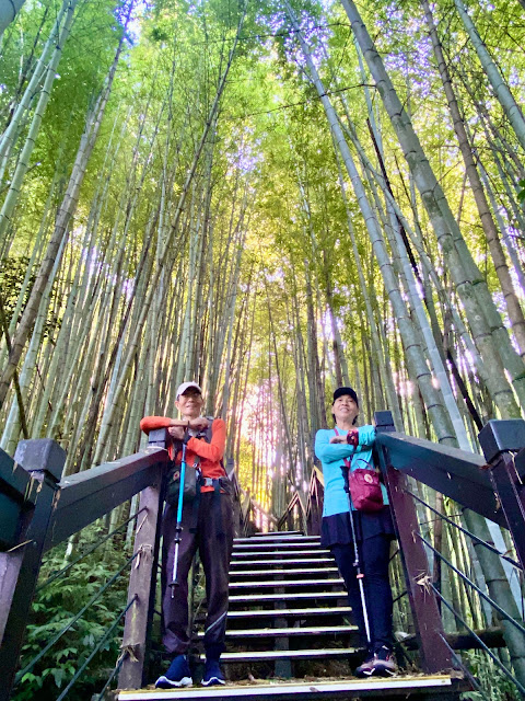 頂石棹步道--霞之道