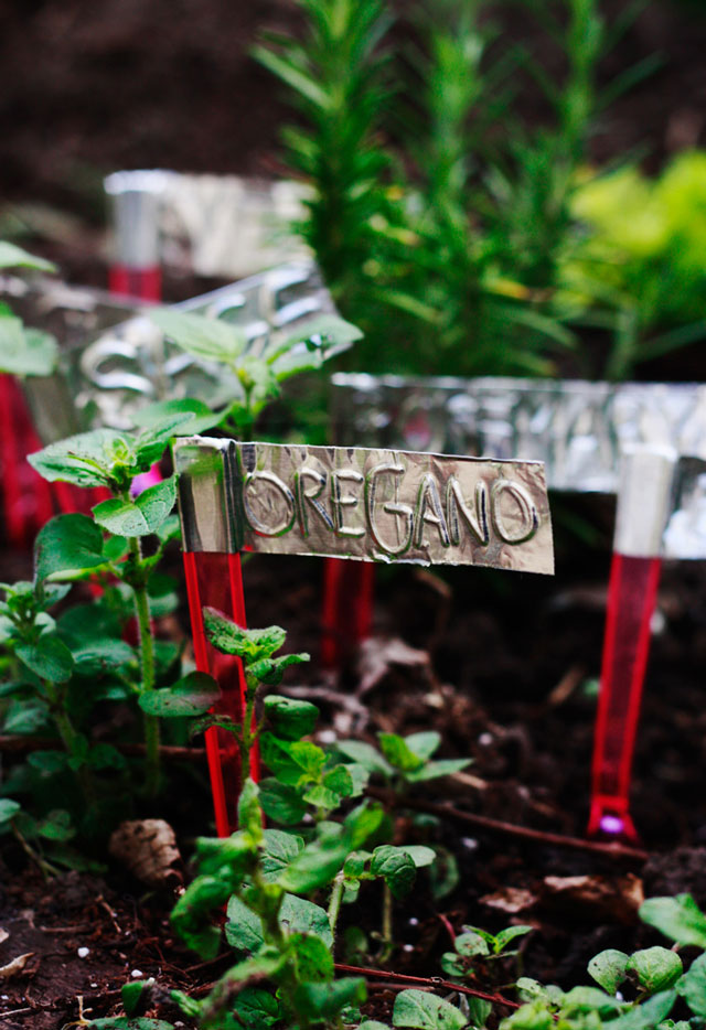 Make Your Own Garden Markers For Cheap With These Ideas