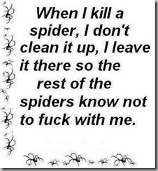 when I kill a spider