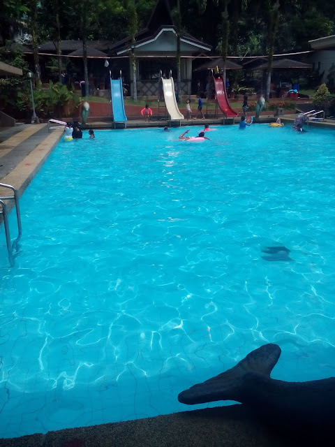 swimming pool, resort, tayabas quezon