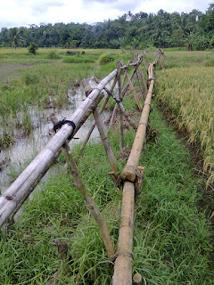 Kabar Lembur Kuiring