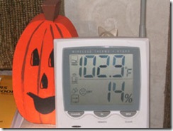 pumpkin-102