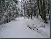 DSCN0689