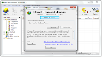 Internet Download Manager 6.12 Build 23 Screenshot