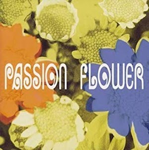 T‐SQUARE – Passion Flower