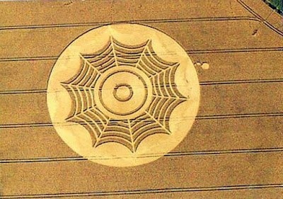 crop circle pictures