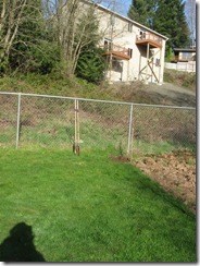 chicken coop day one 01