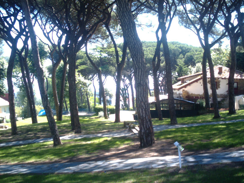 Parque Los Pinares en el Sardinero