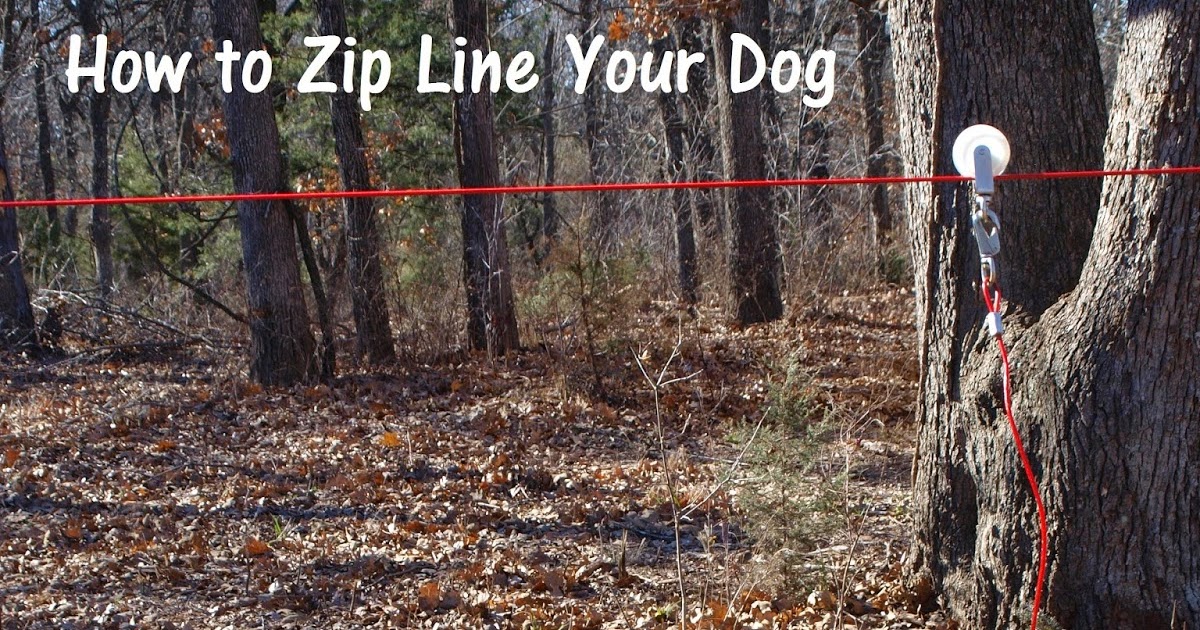How Zip To