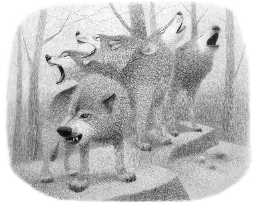 07-Wolves-Charcoal-Drawings-Heidi-Marie-Smith-www-designstack-co