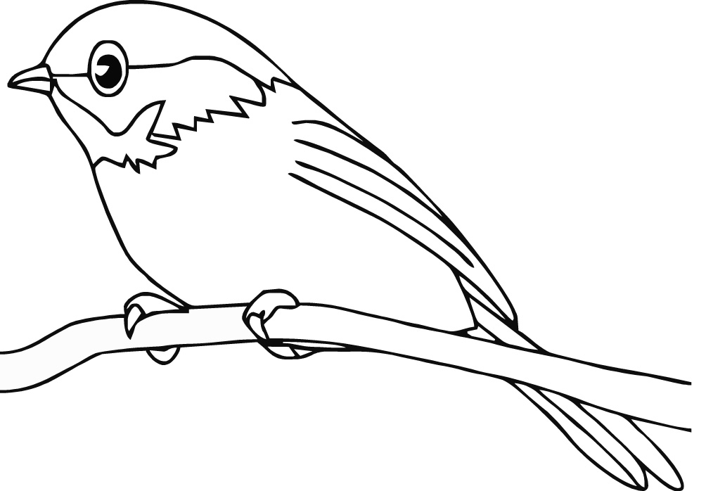 Cute Bird Coloring Pages - Free Printable Pictures 