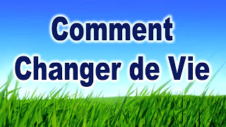 Changer de vie par Sylvain Wealth