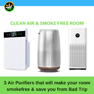 3 air purifiers for secret smoke session