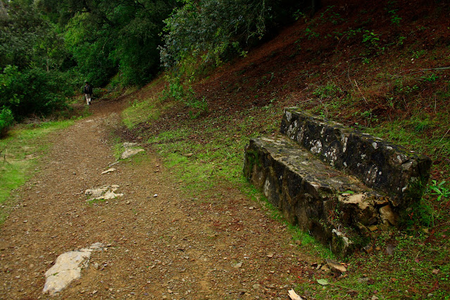 Sendero de la Cuesta de la Traición-El Villar (SL-A-91)