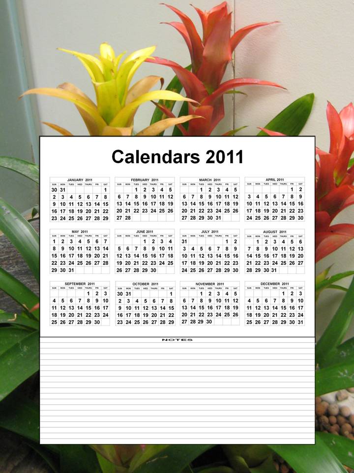 2011 calendar january to december. december 2011 calendar