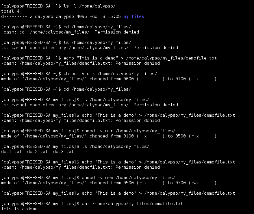 Basic Chmod Examples