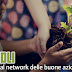 Kindli | il social network delle buone azioni