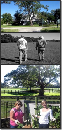 Ranch collage