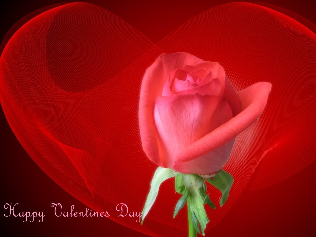 Valentine Day Wallpapers