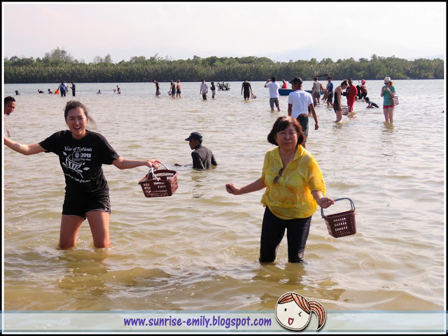 Clam Digging @ Kampung Mangkuk, Setiu, Terengganu