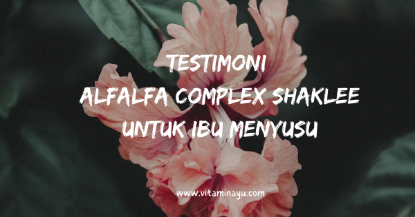 Testimoni Alfalfa Complex Shaklee Untuk Ibu Menyusu