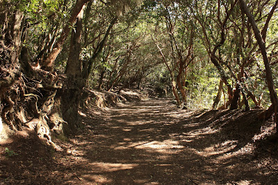 PR-TF-12 BAJAMAR A LA CRUZ DEL CARMEN, sendero a la Cruz del Carmen