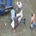 بصور والفيديو الاسكندريه تغرق ومقتل شاب بسب كابل كهرباء فى مياه الامطار