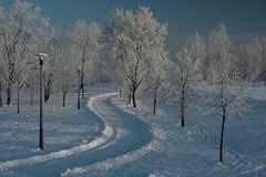 IMG_9371