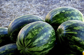 round watermelons