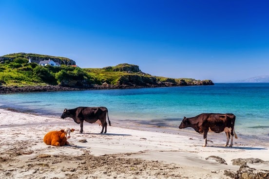 AMAZING! One of The Smallest Islands In The World Hides So Much Beauty In It