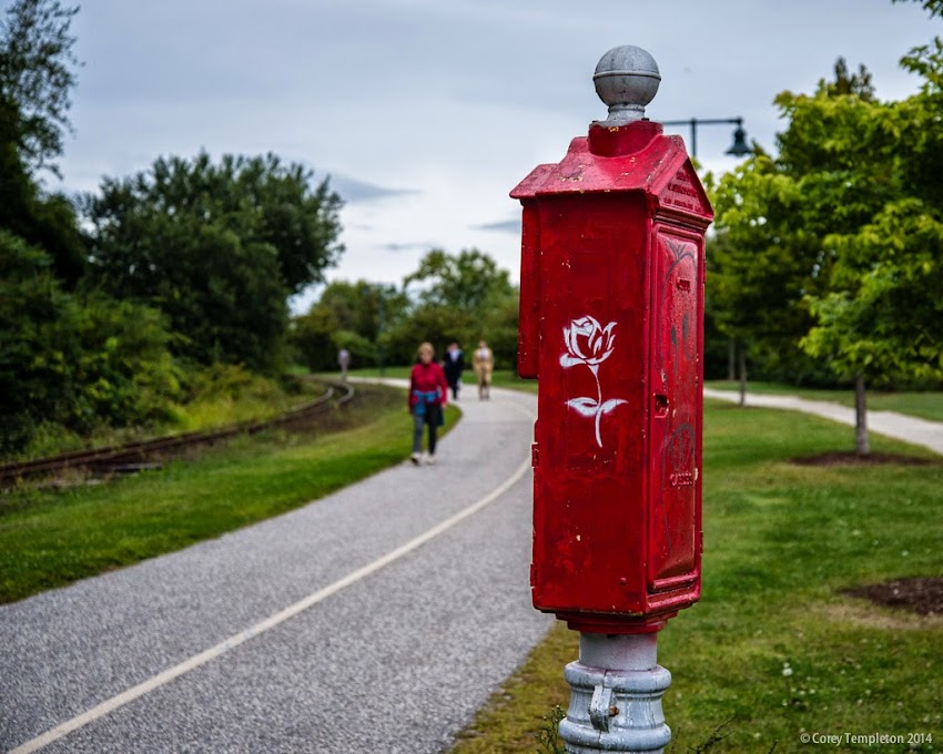 Portland, Maine 2014 photo by Corey Templeton rose stencil on Eastern Promenade