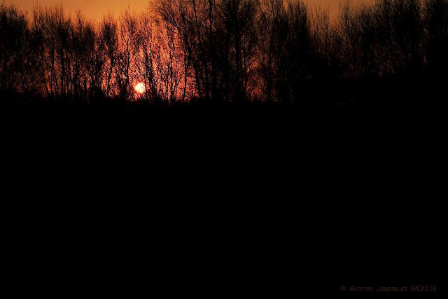 the golden hour© Annie Japaud 2013, photography, nature, blogging, Oughterard, Connemara, Ireland