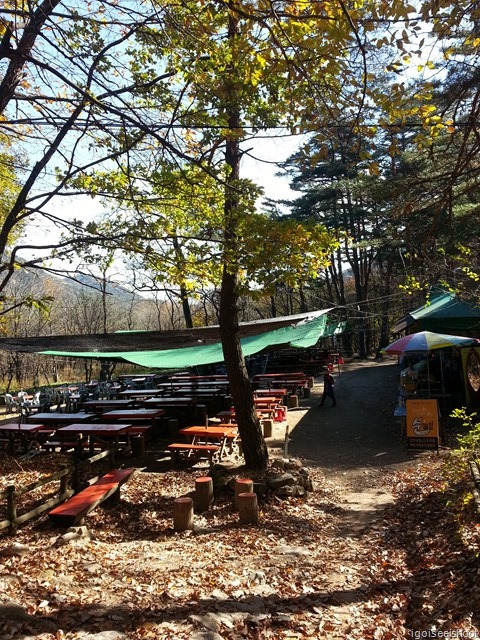  Food stalls long the trail to Yukdam Waterfall and Biryong Waterfall