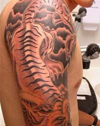 japanese tiger tattoo pictures