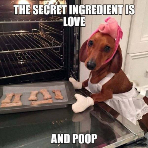 If dogs baked...