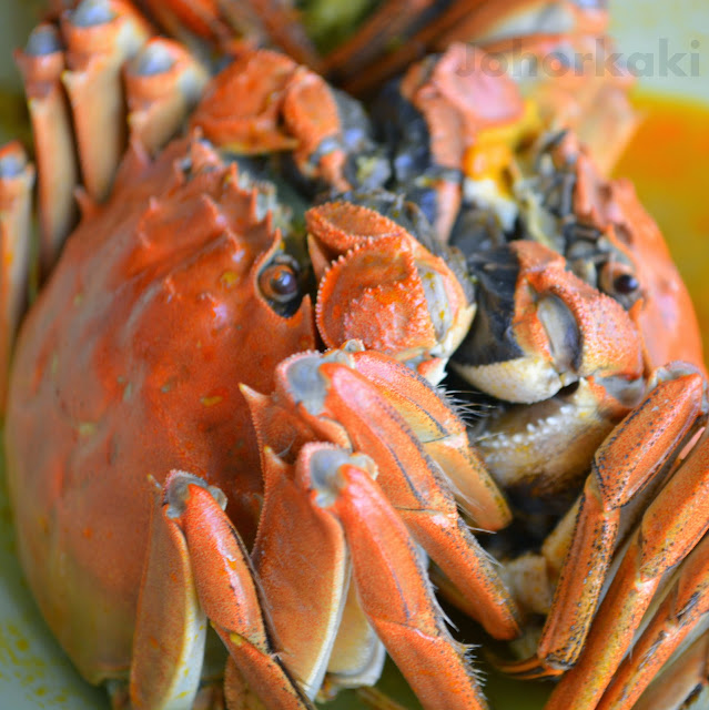 Shanghai-Hairy-Crabs-大閘蟹